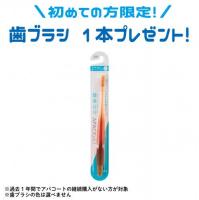 【SALE】　ヤクルト薬用アパコートS.E.<ナノテクノロジー>　3本セット(歯ブラシ1本付)