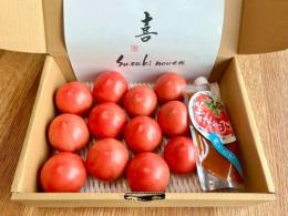 ③　【鈴木農園】のりさんのスペシャルトマトギフト　※