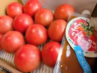 ③　【鈴木農園】のりさんのスペシャルトマトギフト　※