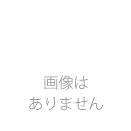新城市みんなのまちづくり基金