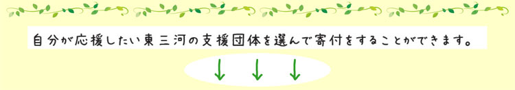 自分が応援したい東三河の支援団体を選んで寄付をすることができます。